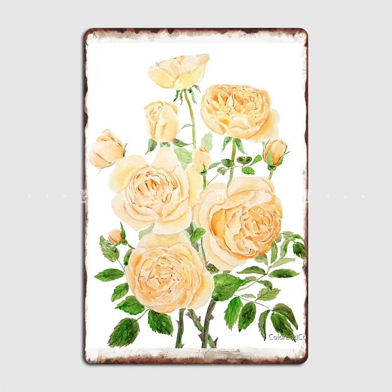 Orange Pat Austin Rose Watercolor Painting Metal Sign Club Party Party Printing Poster Tin Sign Posters