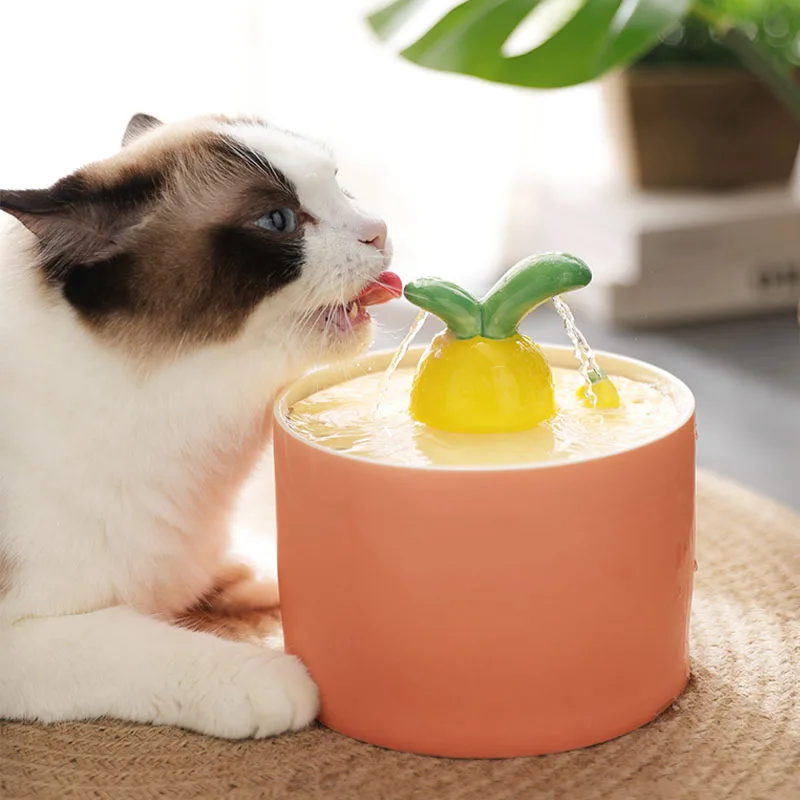 

Cat Automatic Water Fountain Filtration Kawaii Ceramics Pet Water Dispenser Electric USB Ultra-Quiet Dogs Drinking Bowl
