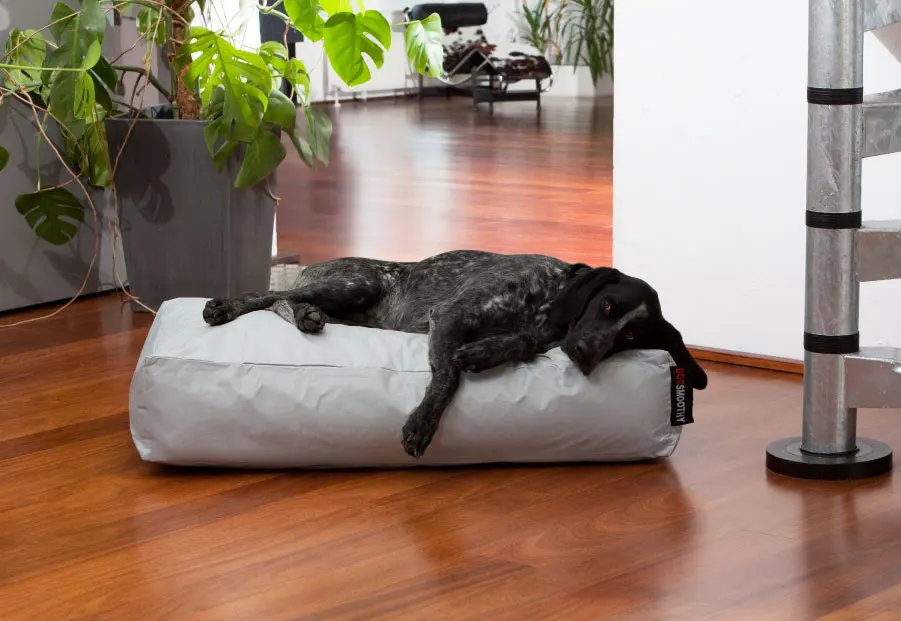 Красочные кровати для собак горячая Распродажа Лежанка домашних животных