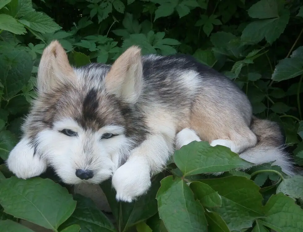 Большая серая собака плюшевая кукла Дети животные игрушка модель имитация Милая