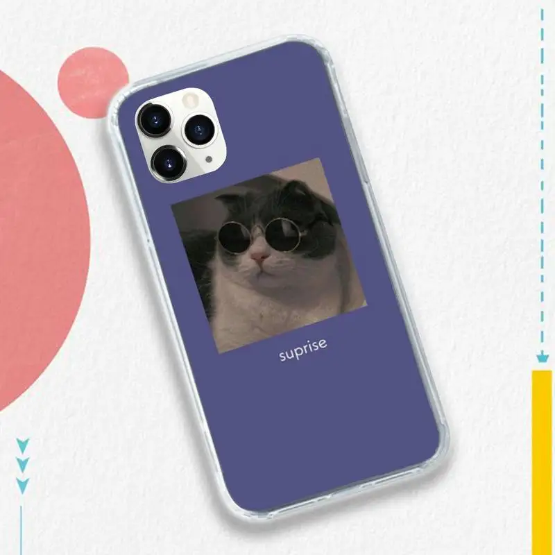 

Funny animal cat Literary aesthetics Phone Case for iPhone 11 12 pro XS MAX 8 7 6 6S Plus X 5S SE 2020 XR