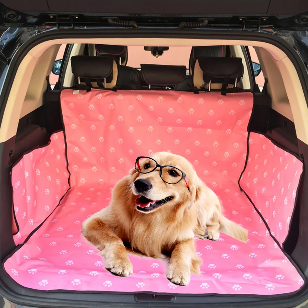 

Pet Products