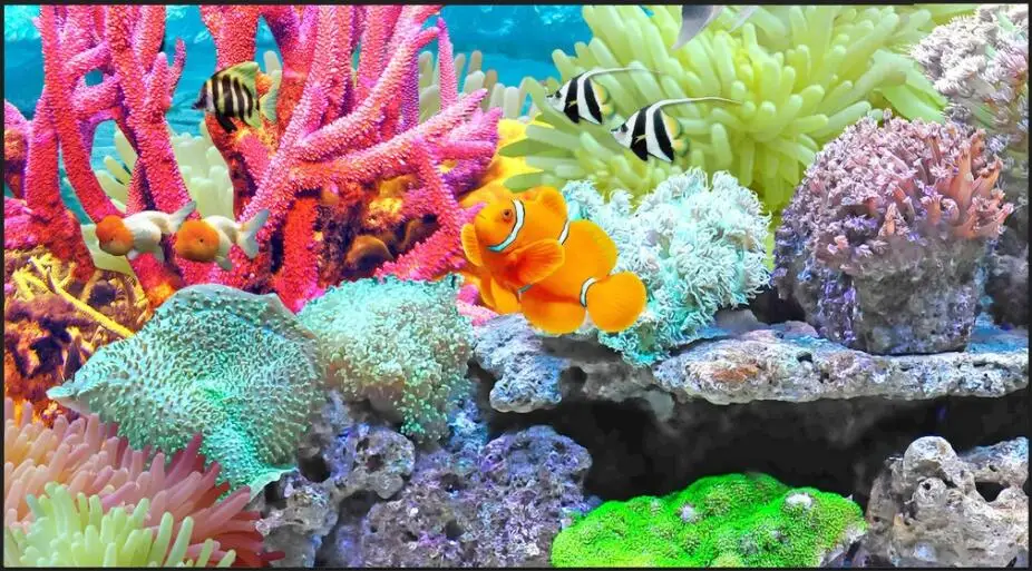 WDBH пользовательские фотообои 3d обои подводный мир дельфин Коралловая рыба