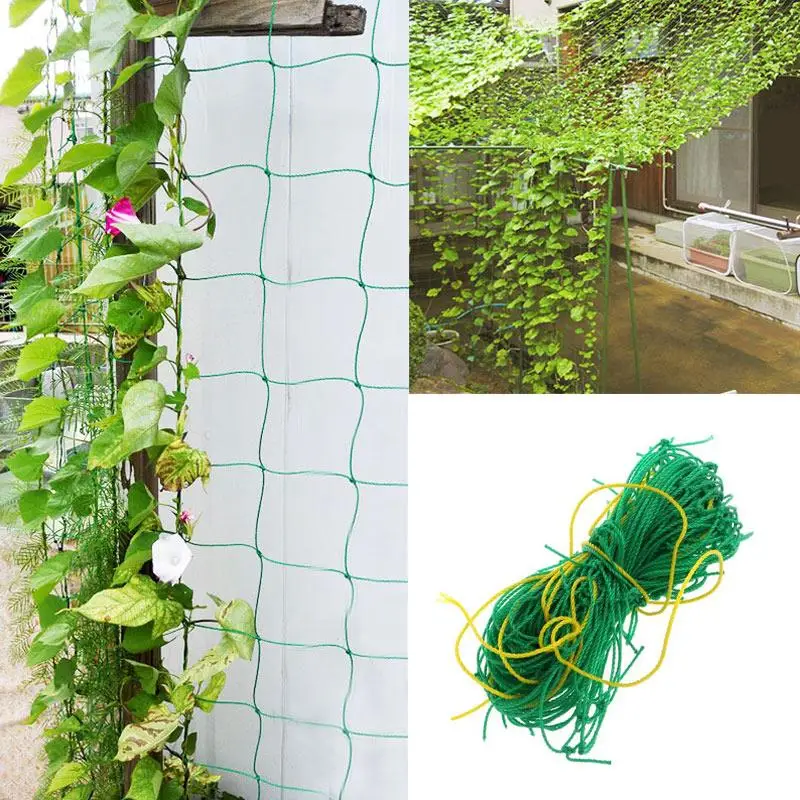 

Climbing Net Plant Nets Nylon Trellis Netting 1.8*1.8M Noylon Recyclable Strong Reusable Grape Vine Support Tool Garden Green