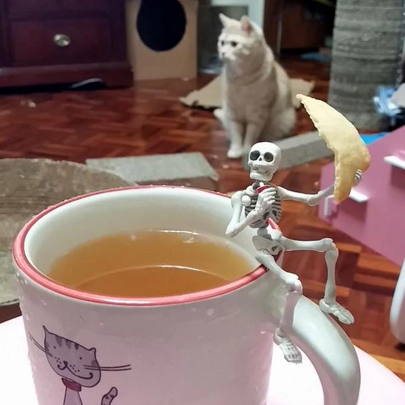 Внутренние Re единение с едой череп человека серии на шарнирах представляют