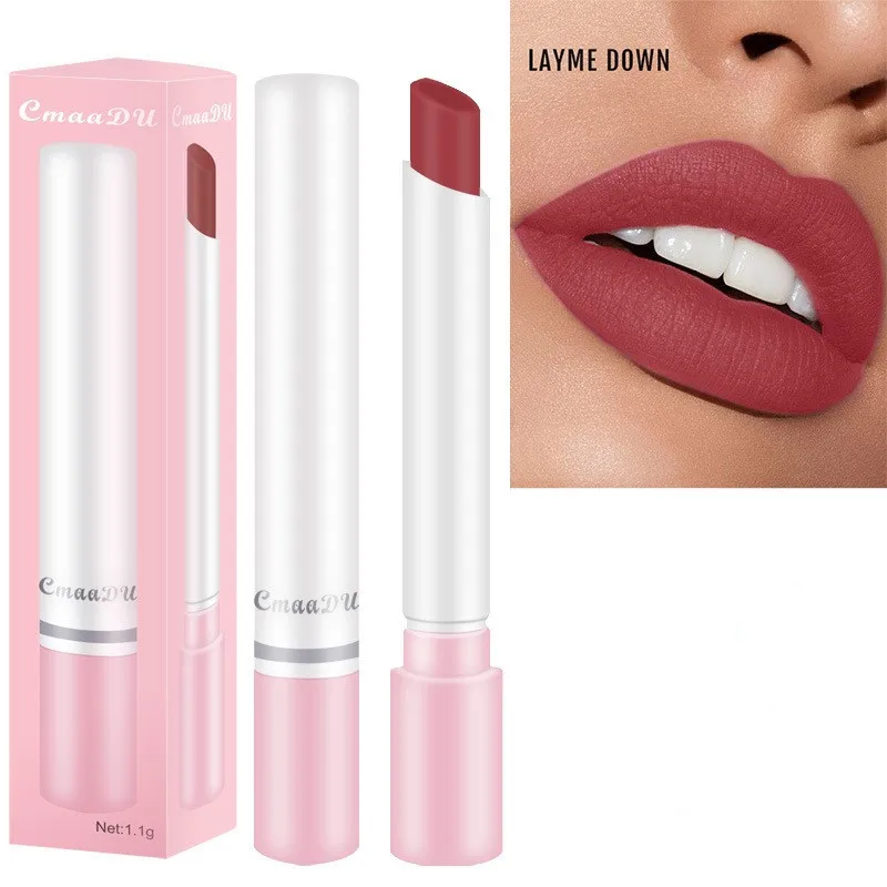 

8 Colors Matte Lipstick Waterproof Velvet Lip Gloss Sticks Long Lasting No Fading Fog Surface Sexy Red Lip Makeup Cosmetic TSLM1