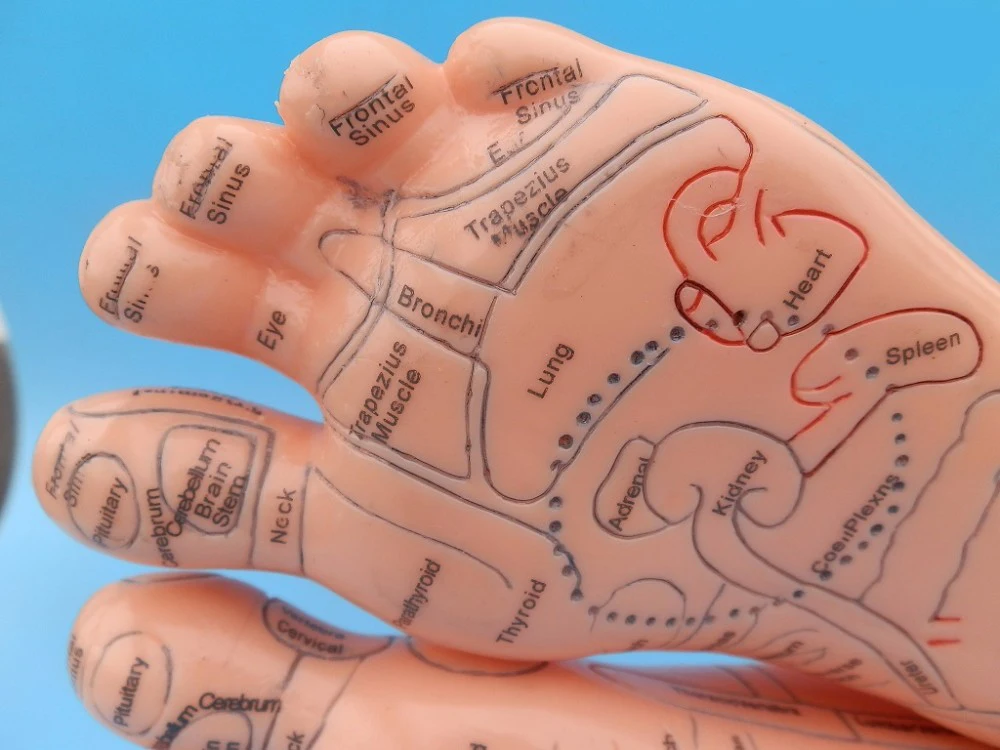 1 пара акупунктурная модель для массажа ног |