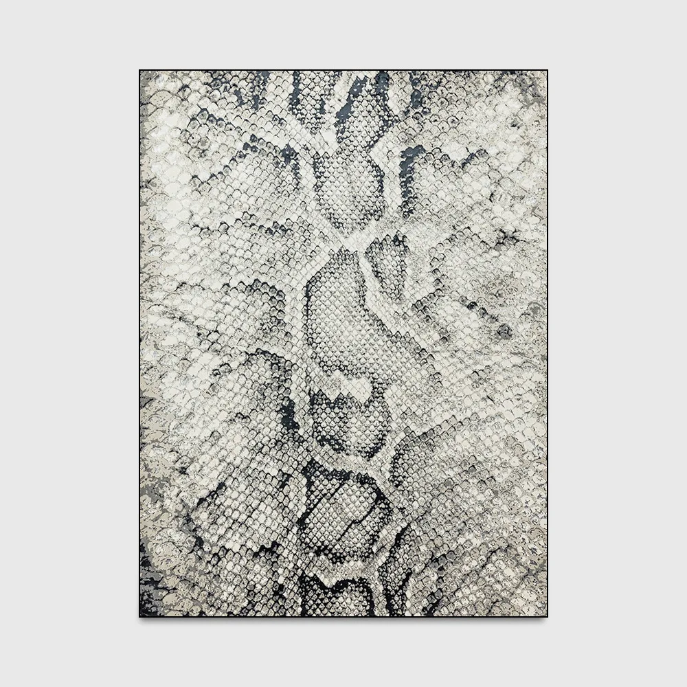 Southeast Asia exotic Snake pattern living room large carpet polyester plush bedroom rug bathroom floor mat custom made | Дом и сад
