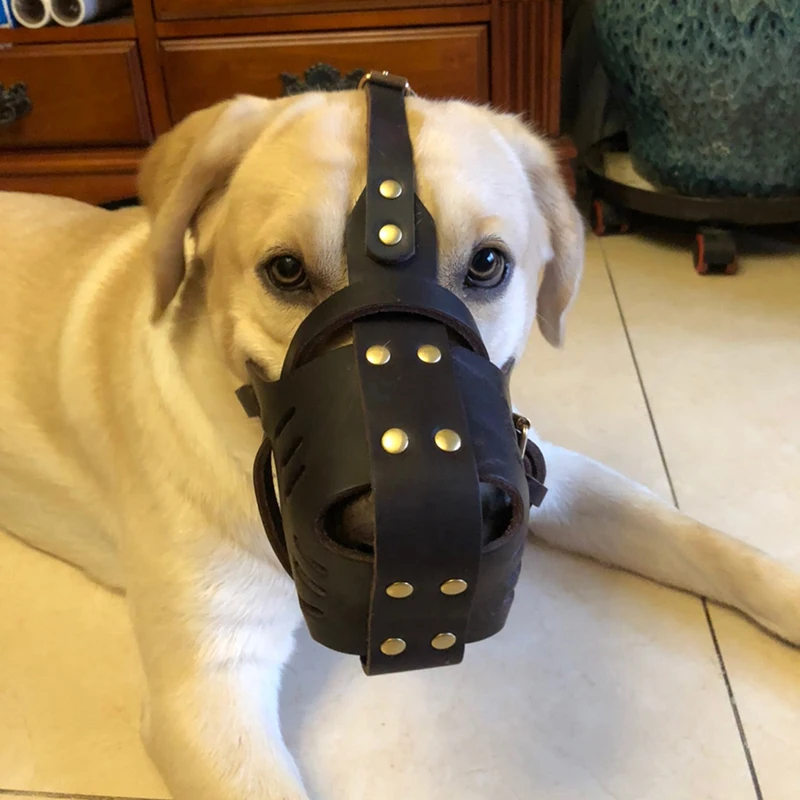 Смешная короткая морда Грейхаунд намордник домашний кожаный бульдог большой
