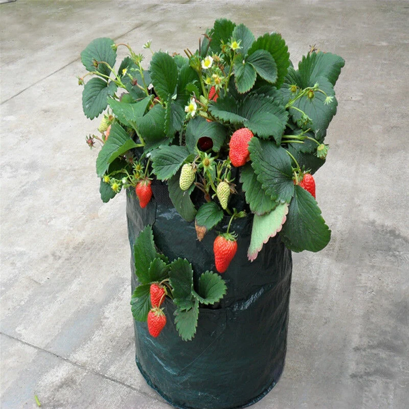 1 шт. сажалка для клубники сумка выращивания растений бочек комплект садового