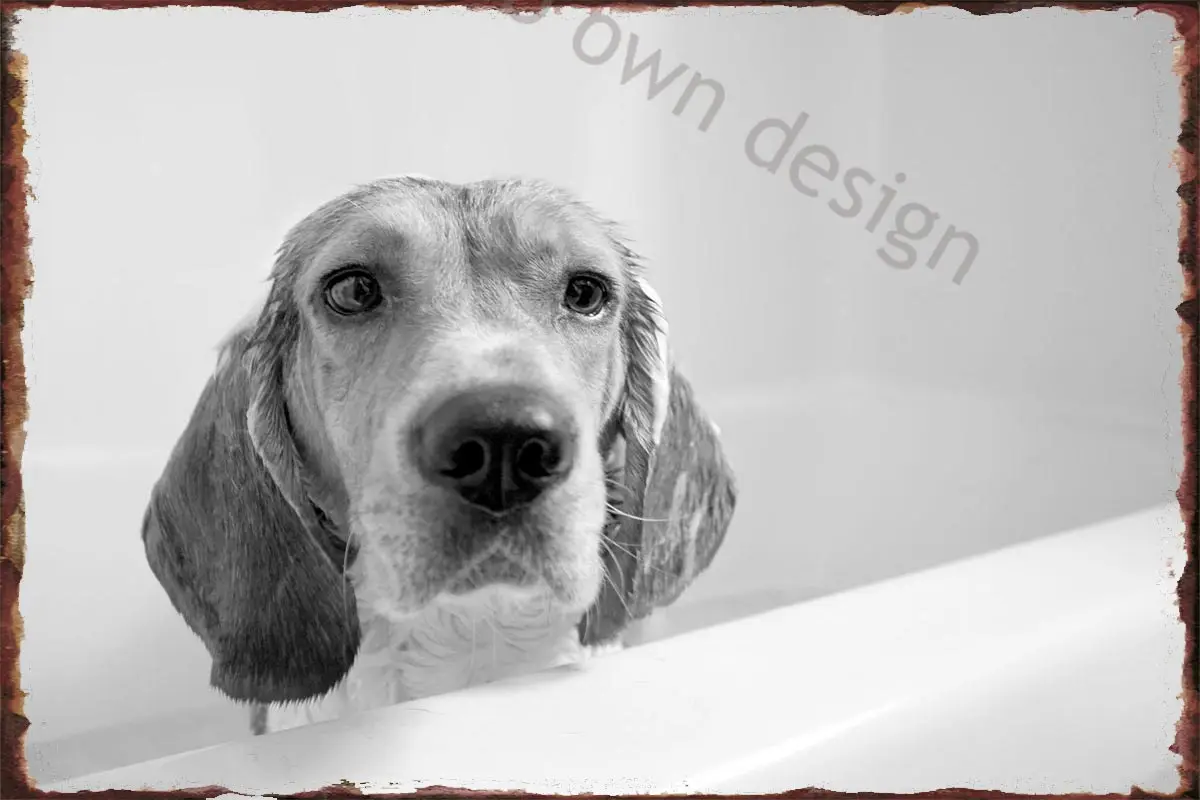 

Жестяная Табличка Beagle для ванны, жестяные таблички, Настенный декор, украшение для комнаты, Ретро винтажный металлический знак для искусств...
