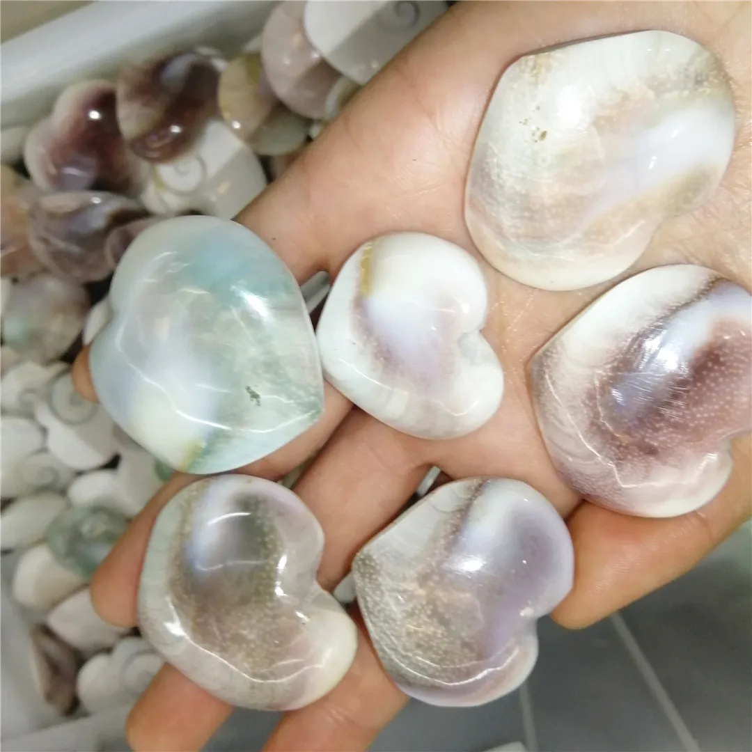 

Natural shell fossil crystal craft conch heart specimen healing