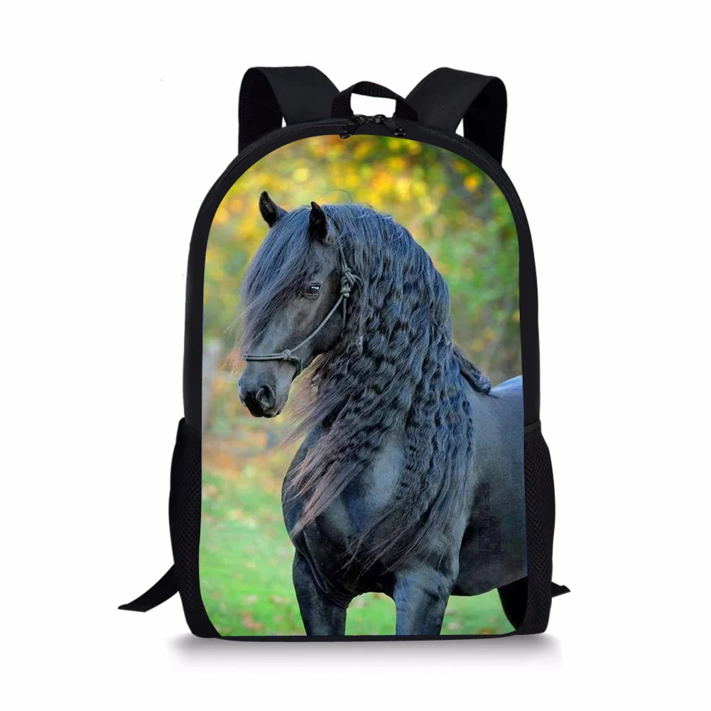 Рисунок 3 - Школьный рюкзак HaoYun Friesian