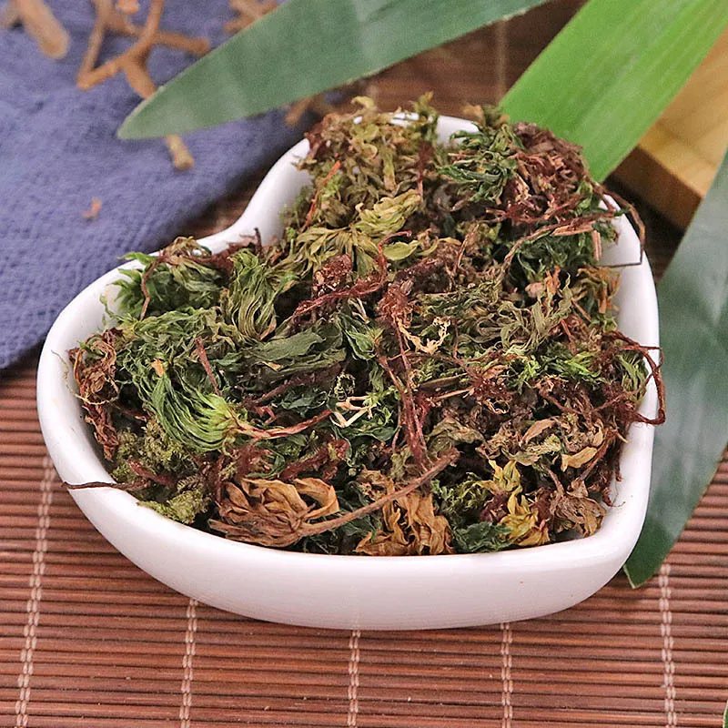 

Родобриум росеум лимпр. Гипнум росеум Хой ксин САО