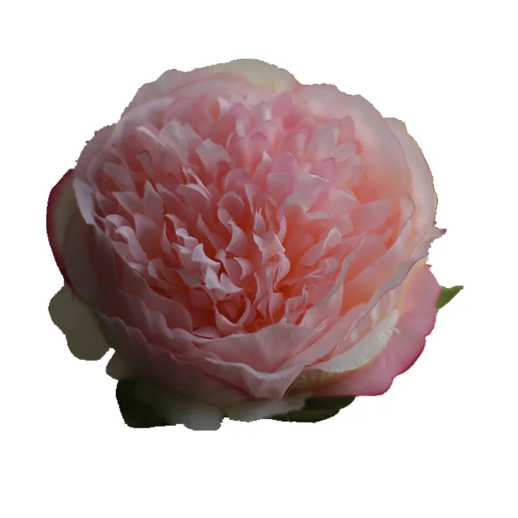 5 шт./лот искусственный шелк пион Цветочная головка высокое качество свадебное