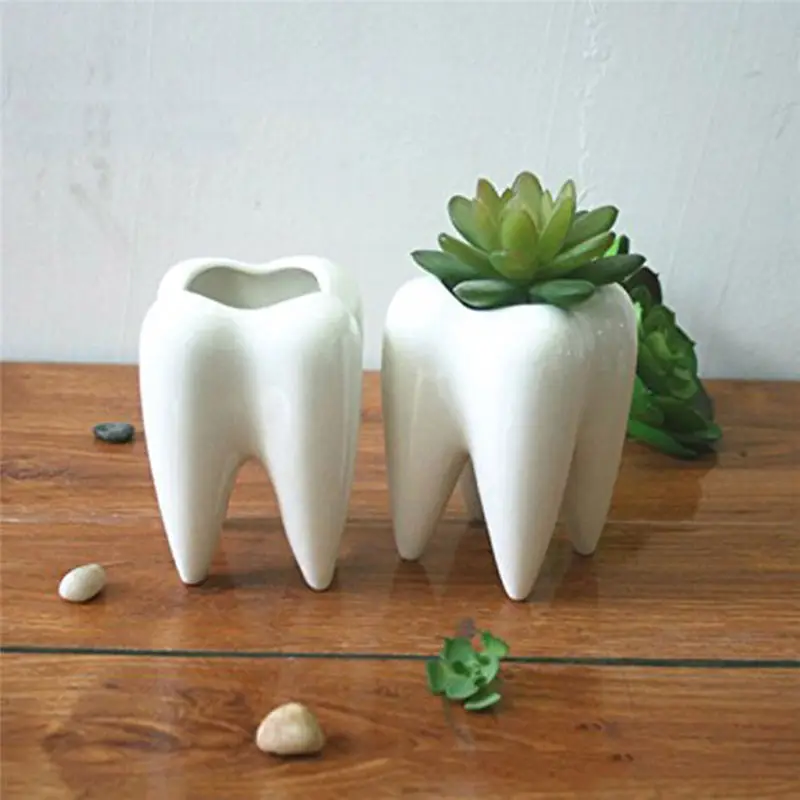 Керамическая форма зуба белый цветочный горшок горшечные горшки для цветов