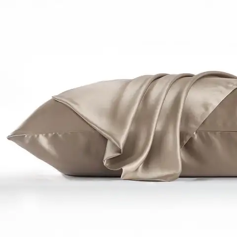 Наволочка DISANGNI 22 Mummi из тутового шелка