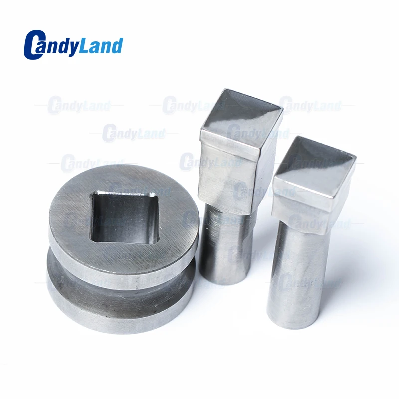 CandyLand Square Logo Tablet Die 3D Pill Press Mold Candy Punching Custom Calcium Punch For TDP 0 Machine |