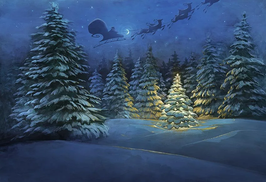 Виниловый фон для фотосъемки с изображением рождественского сказочного зимнего