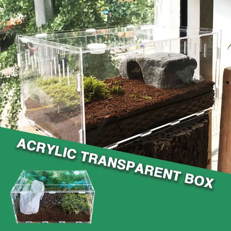 

Transparent Pet Terrarium Reptile Box Breeding Box Live Box Cover Portable Cold-blooded Animal Insect Practical Reptile Terrariu