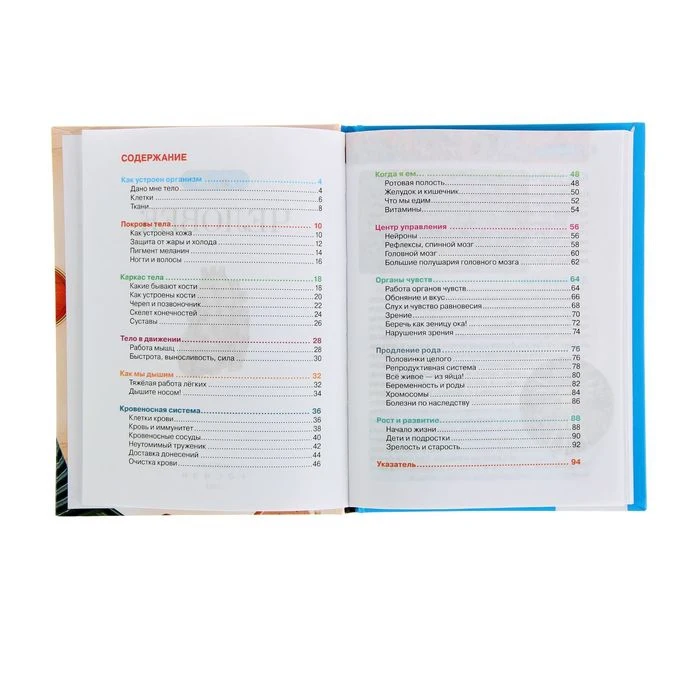 Детская энциклопедия РОСМЭН Человек 1321023 |