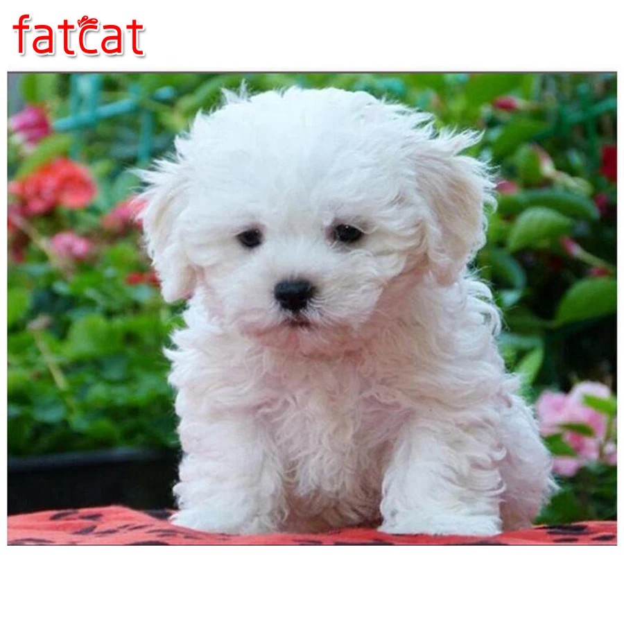 FATCAT белая МАЛЬТИЙСКАЯ Собака Алмазная картина 5d Сделай Сам Вышивка крестиком