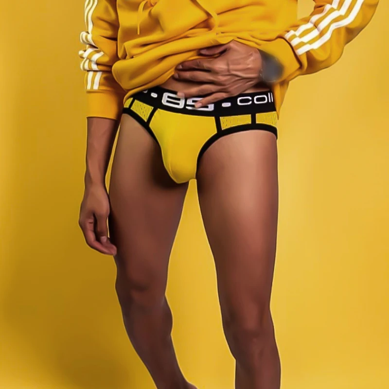

0850 Brand Comfortable Men Underwear Briefs U Convex Cuecas Breathable Mesh Man Underpants Cotton Low Waist Sexy Men's Panties