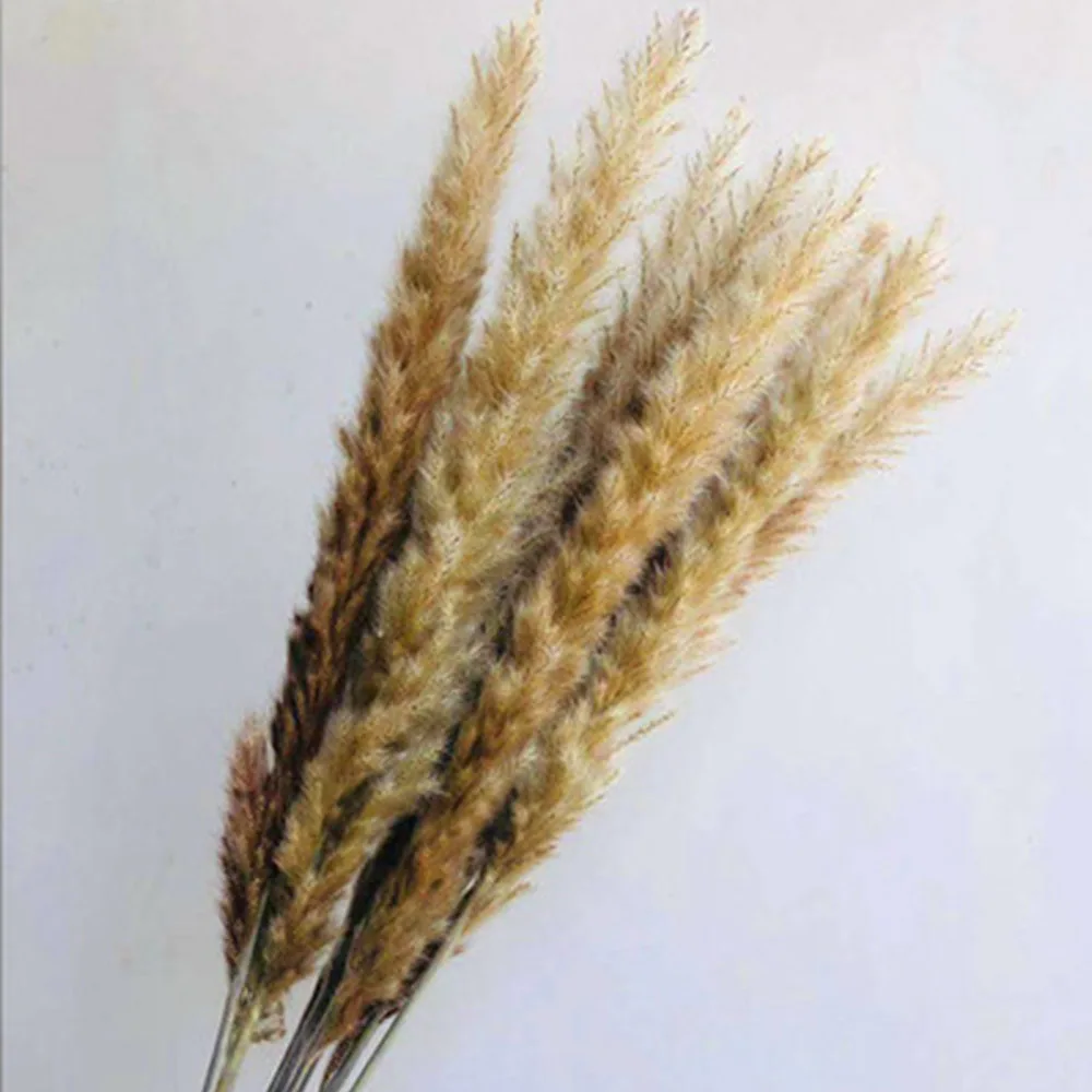 20 шт. свадебные цветы Натуральные Сушеные маленькие помпоны сырой цвет трава