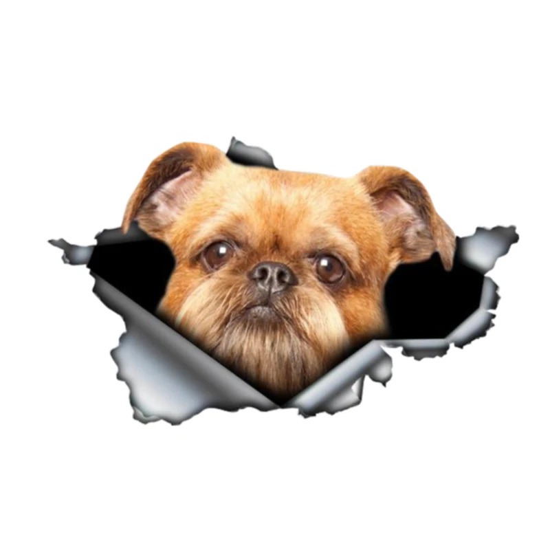 

Creative Car Sticker Brussels Griffon Dog 3D Pet Accessories Motorcycle Waterproof Car Window Decal PVC 13cm X 9cm