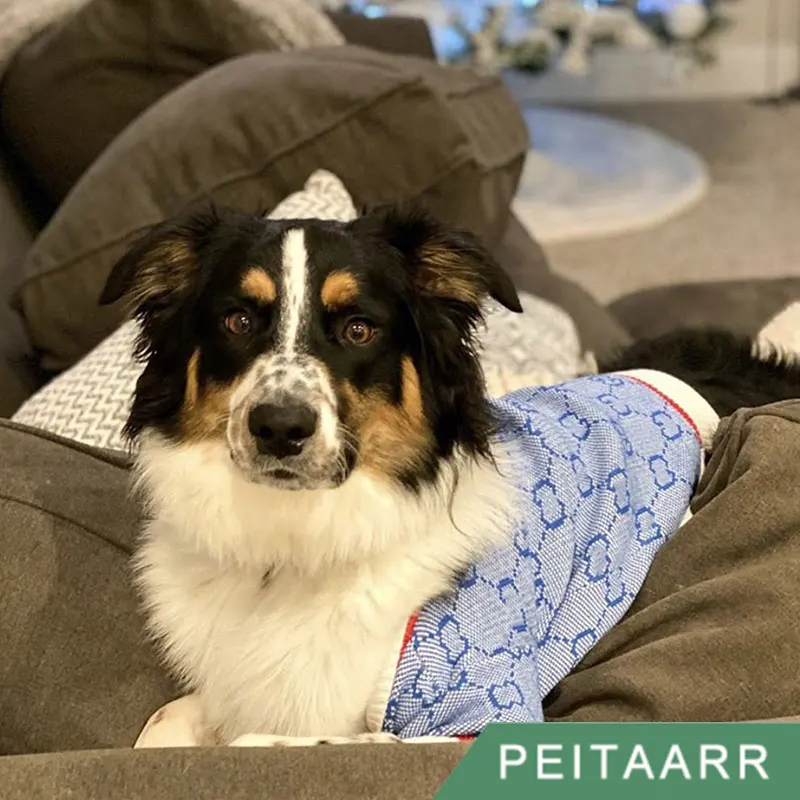 [PEITAARR] одежда для домашних животных собак свитер кардиган известного бренда