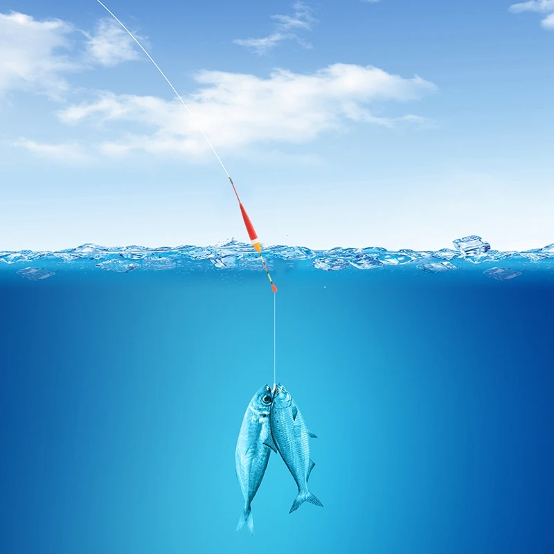 10 шт./компл. набор поплавков для рыбалки карпа буй поплавок палка рыболовных