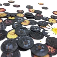 10pcs dried pressed 1cm fruit blueberry slices plant herbarium for jewelry photo frame phone case craft diy making accessories
