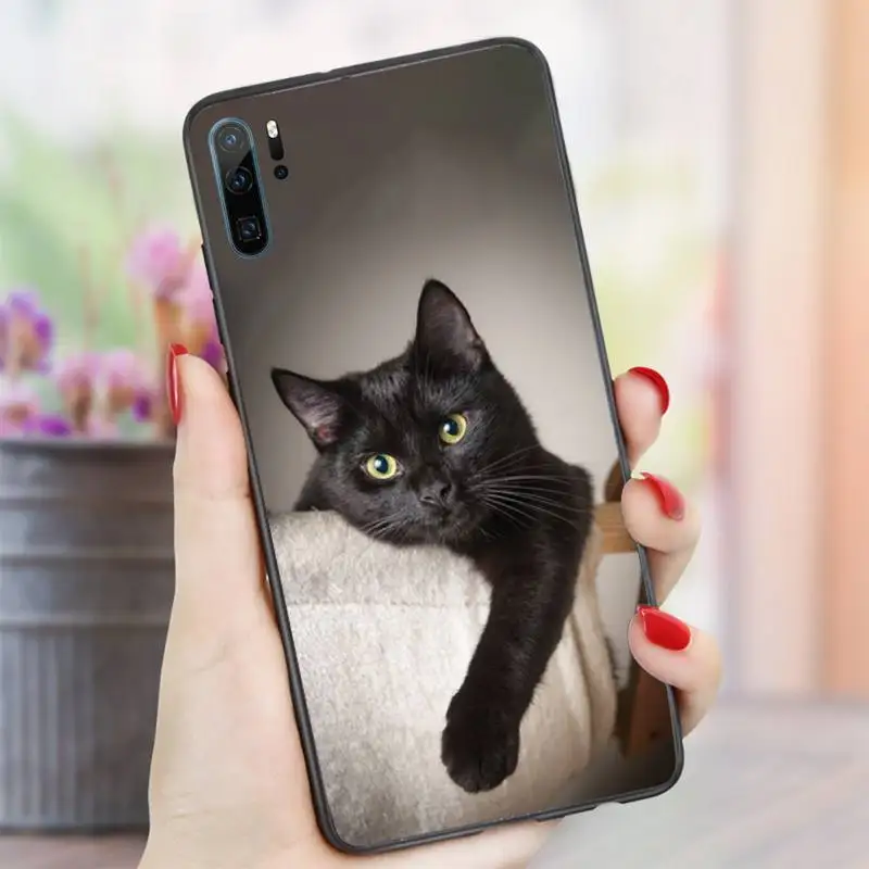 

Staring Eye On Black Cat lovely animal Phone Case For Huawei honor Mate P 10 20 30 40 i 9 8 pro x Lite smart 2019 nova 5t