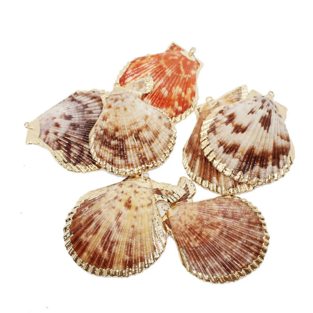 5 шт. топ продаж кулон натуральный гребешок форма кулоны смешанного цвета корпус