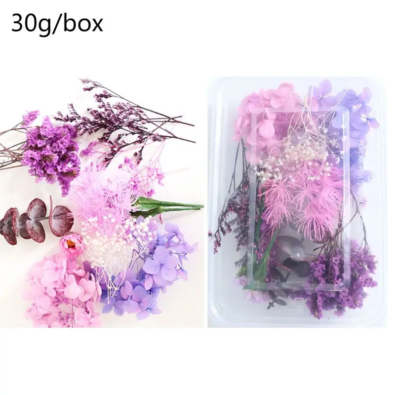 

Настоящие сухие цветы для украшений из смолы, 1 коробка, сухие растения, прессованный цветок