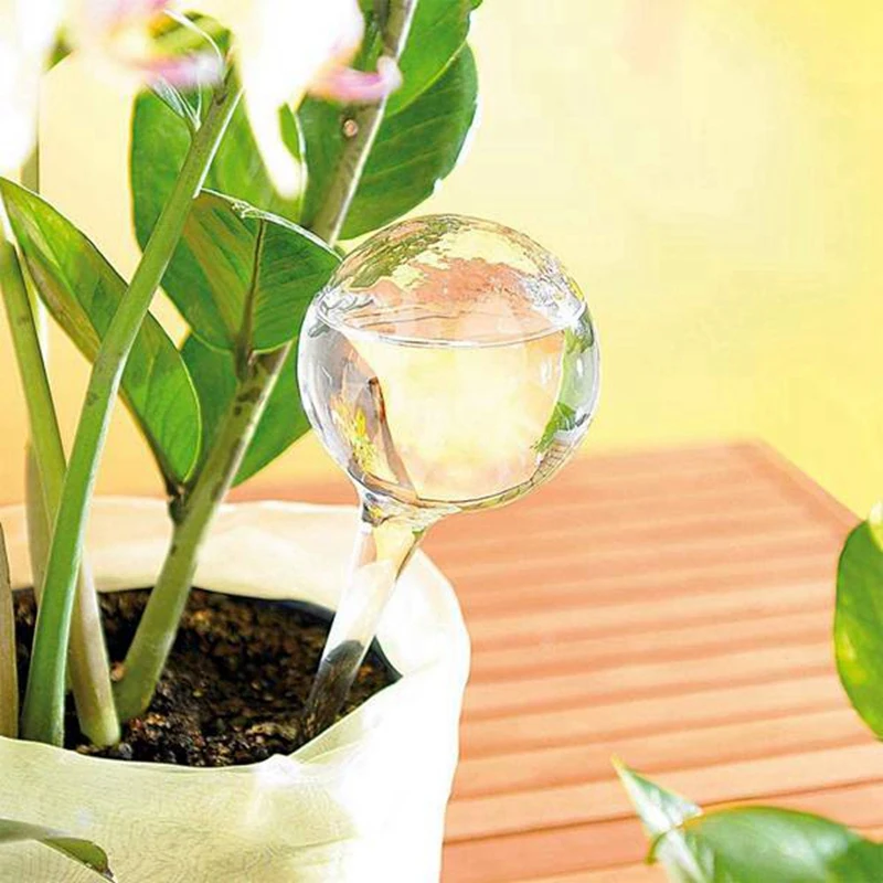 

20 Pcs Plant Watering Bulbs Clear Self-Watering Globes Automatic Water Balls Device Vacation Houseplant Pot Bulbs