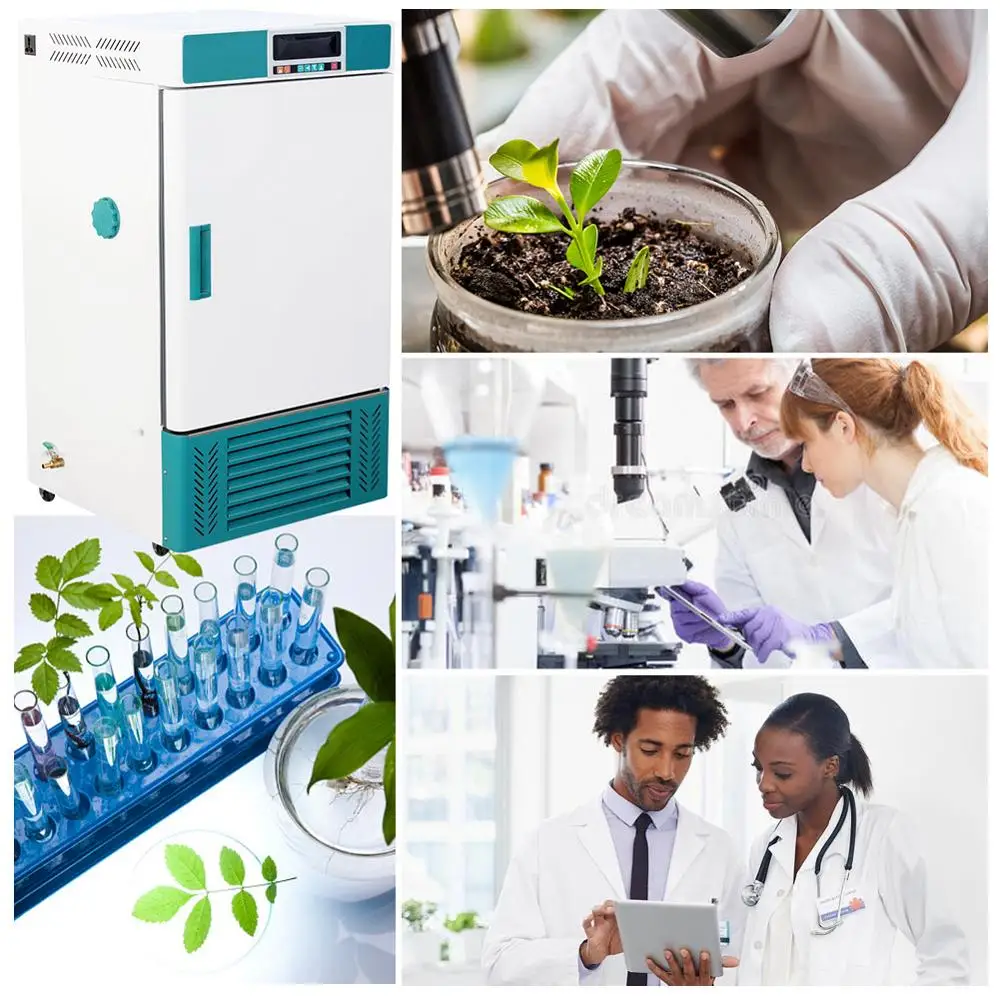 

70L Reptile Incubator Lab Incubator Cooling and Heating 0C to +65C Constant Temperature and Humidity Chamber Incubator