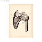 Подарочный плакат физиотерапевта, художественный плакат по анатомии, коленному суставу, плечевому суставу, скелет для суставов пальцев, хиропрактика, декор клиники