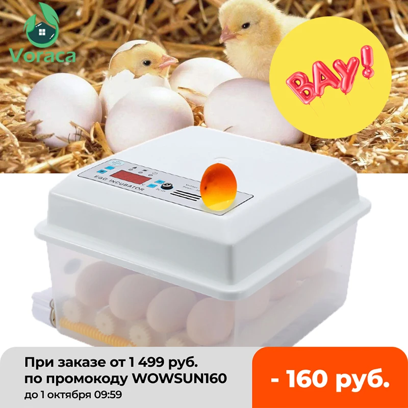 220V инкубатор Тернер автоматический фермы инкубационных инструмент задумчивый