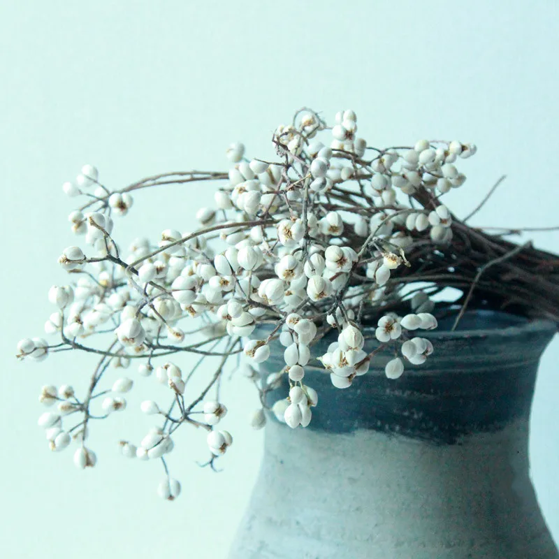 

100G Natural Dried Flower Mushroom Grass Dried Sapium Sebiferum Bunch Small Ginkgo Flower Arrangement Floral DIY Floral No Vase