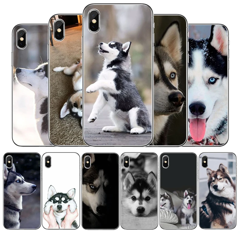 Силиконовый чехол для iphone 12 11pro Max 11 XR XS X 8 7 6 6S Plus 5 5S SE 2020|Бамперы| |