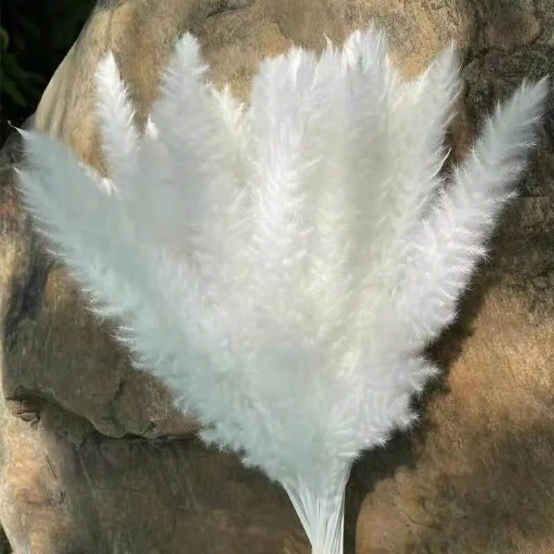 

Natural Dried Flowers. Small Dried Reed Flowers. Wedding Decoration. Boho Decoration Style. Christmas Decoration Accessories.