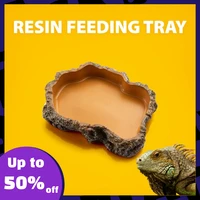 reptile water bowl glowing reptile food bowl water tray feeding bowl tortoise bowl suitable for reptiles and amphibians 2021 new