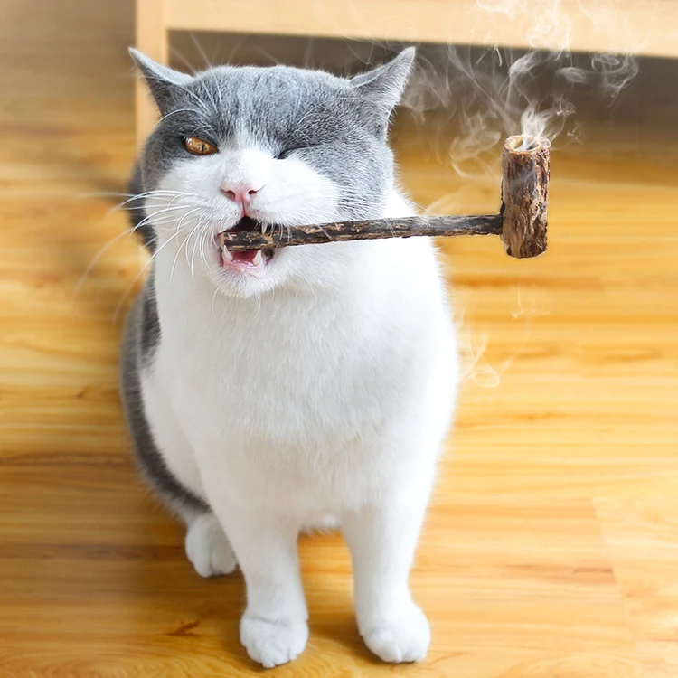 Приспособление для чистки зубов кошек деревянная Мятная игрушка из чистого