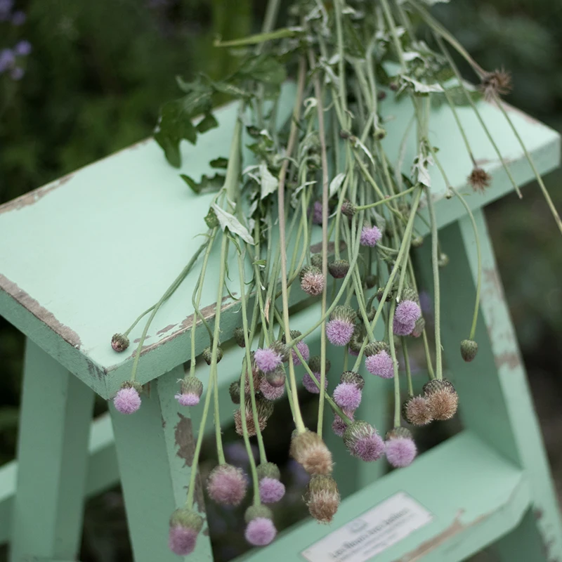 

vintage wooden step stool, fold handmade country retro wooden flower pot stands