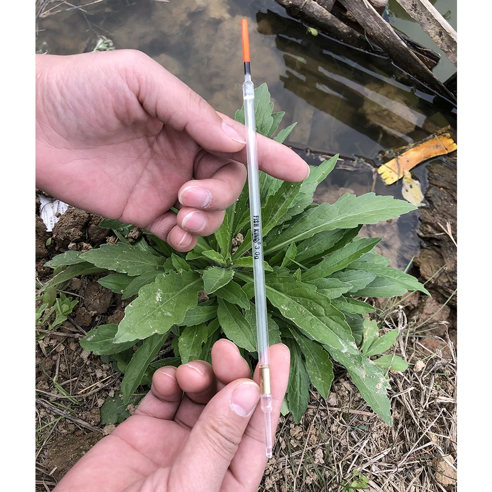 FISH KING 10 шт. 1/1 5/2/2 5/3 г разные размеры жесткий пластиковый поплавок для рыбалки с