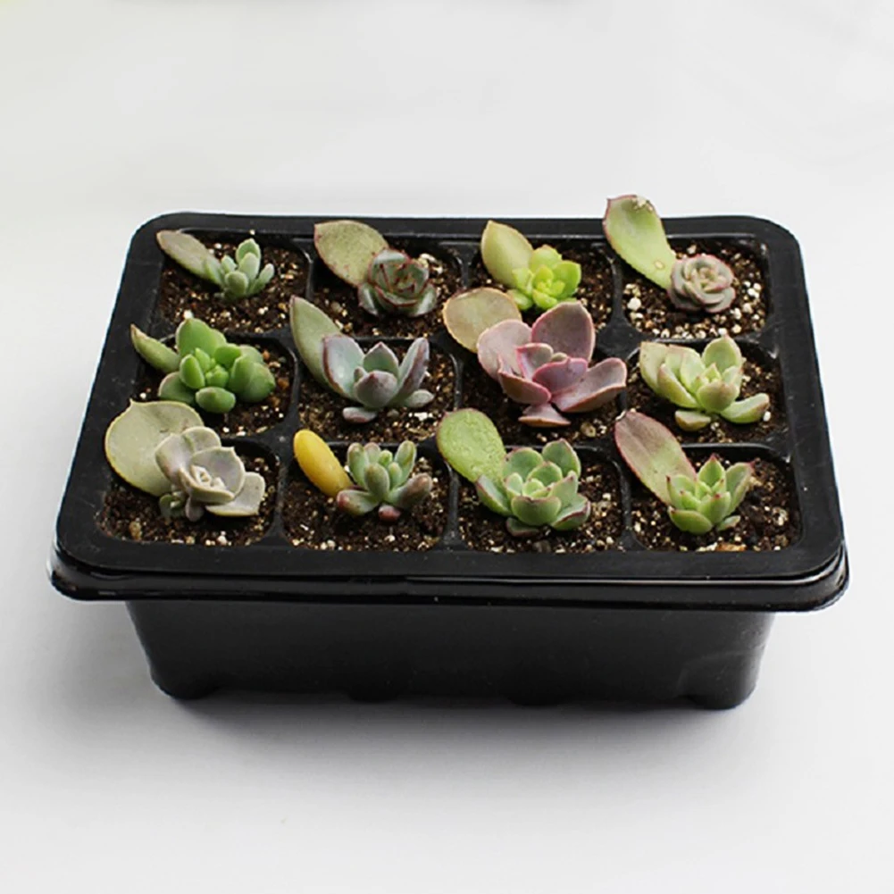 12 ячеек ванны для выращивания растений ПВХ Пластик лоток питомник семена бонсай