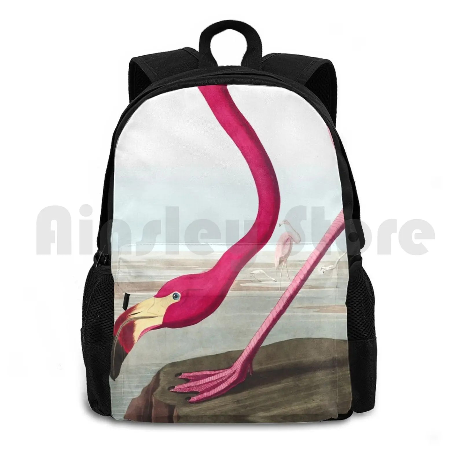 Американский Рюкзак с фламинго-Джон Джеймс Audubon для походов на открытом воздухе