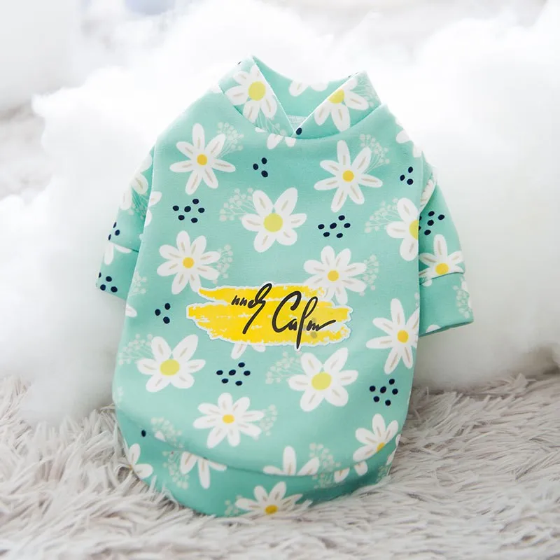 Новинка 2020 милая одежда с цветами для маленьких собак свитер Одежда зимнее