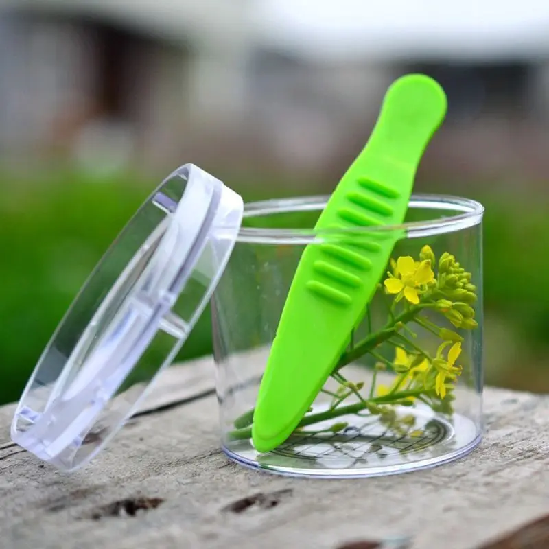 

Reptile Amphibian Feeding Litter Poop Cleaning Clamp Insect Tweezers Clip Tool